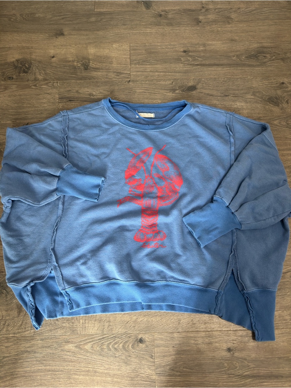 Free People tunic sweatshirt